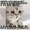 изображение_2021-12-18_113907.png